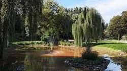 Stadtpark Dudweiler Stadtpark Dudweiler