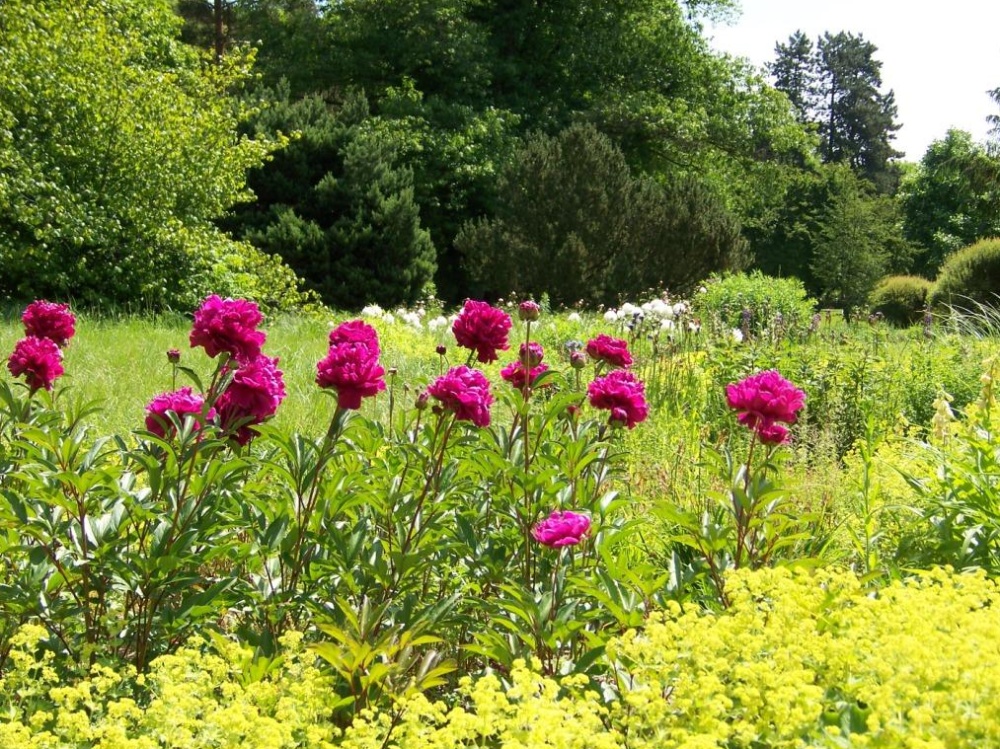 Tal der Blumen Tal der Blumen