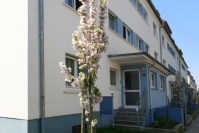 Blauer Hauseingang mit Treppe, davor blühender Baum.