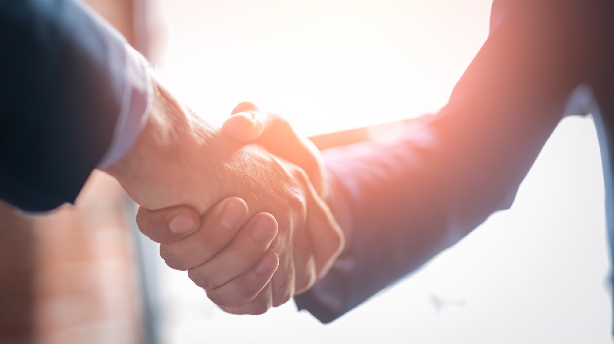 Händeschütteln (Foto: redpixel.pl/shutterstock)
