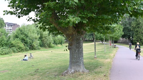 Fahrrad Saarbrücken Staden Fahrrad Saarbrücken Staden