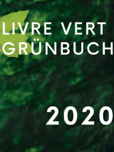 QuattroPole Grünbuch 2020 Image