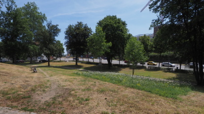 Ludwigspark im Sommer Ludwigspark im Sommer