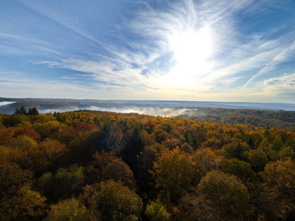 Schwarzenbergturm: Herbstlicher Blick Richtung Ensheim Schwarzenbergturm: Herbstlicher Blick Richtung Ensheim