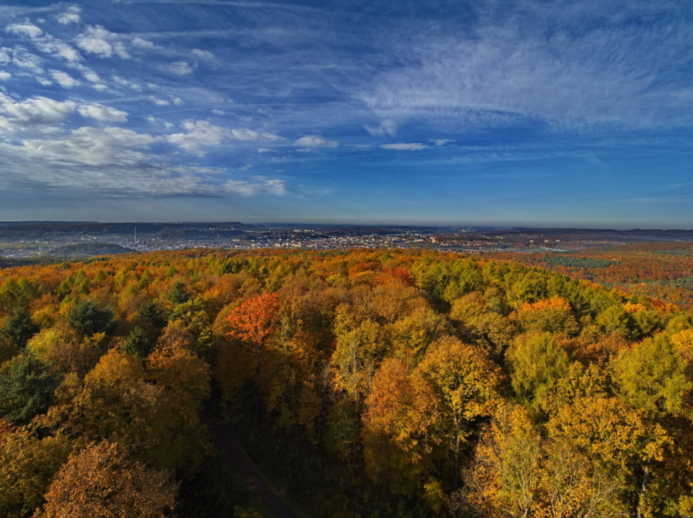 Schwarzenbergturm: Herbstlicher Blick Richtung Stadt Schwarzenbergturm: Herbstlicher Blick Richtung Stadt