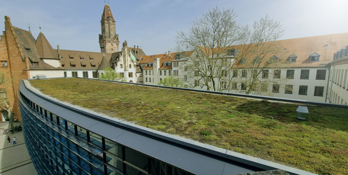Rathausspange von oben Rathausspange von oben mit begrüntem Dach