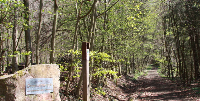 Der Ensheimer Brunnenweg