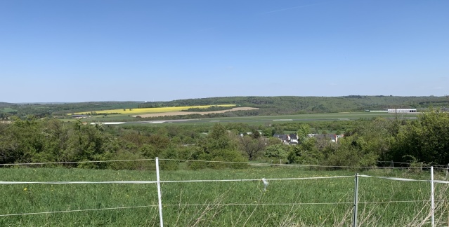 Inmitten von Feldern und Wiesen liegt der Wickersberger Hof in Ensheim