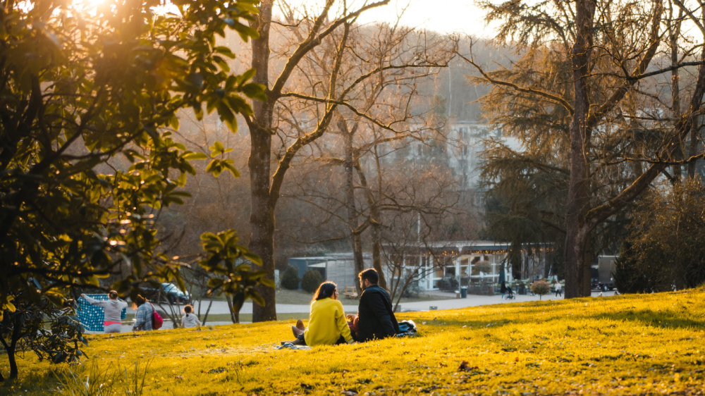 Deutsch-Französischer-Garten (DFG) Deutsch-Französischer-Garten (DFG)
