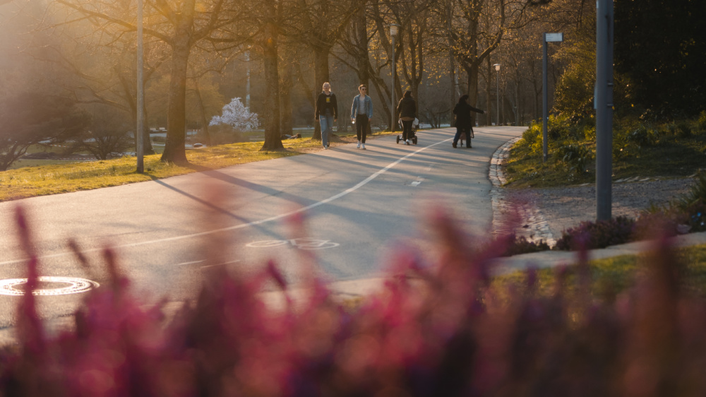 Deutsch-Französischer-Garten (DFG) Deutsch-Französischer-Garten (DFG)