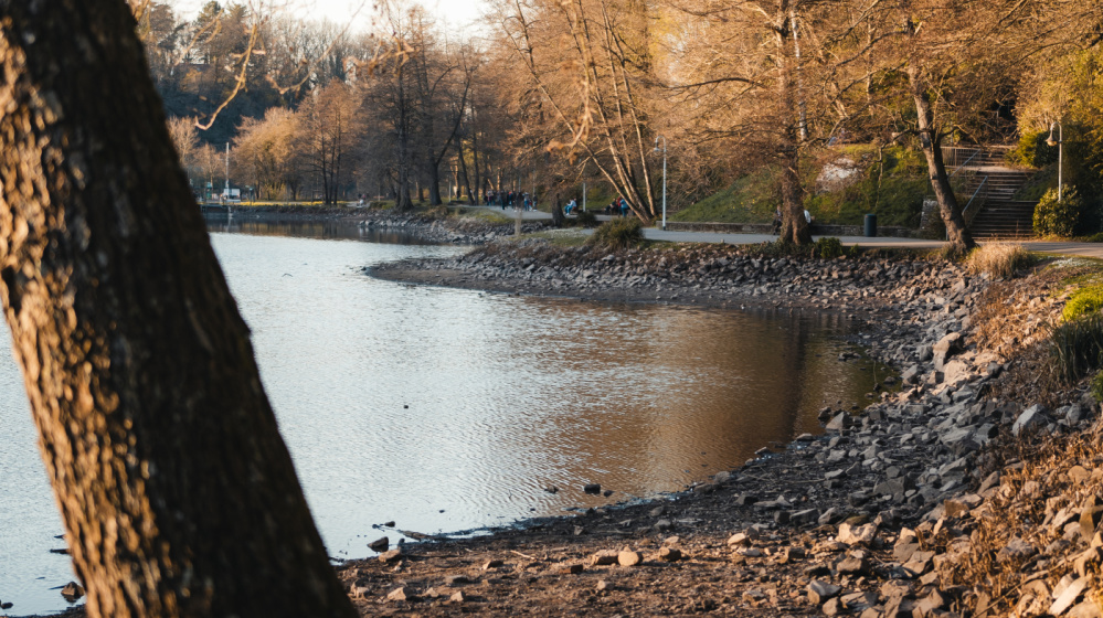 Deutsch-Französischer-Garten (DFG) Deutsch-Französischer-Garten (DFG)