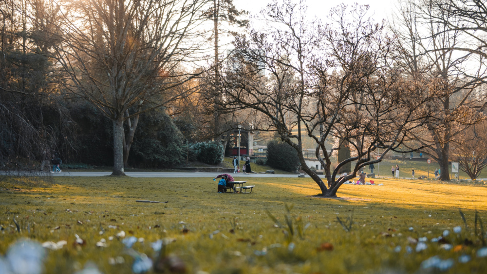 Deutsch-Französischer Garten Deutsch-Französischer Garten