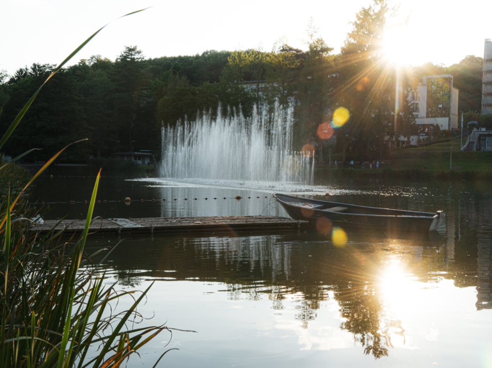 Deutsch-Französischer Garten Deutsch-Französischer Garten