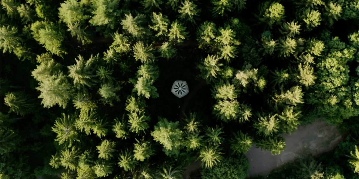 Urwald vor den Toren der Stadt Urwald vor den Toren der Stadt
